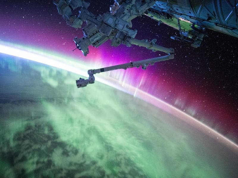 Luxury King Bed Frame