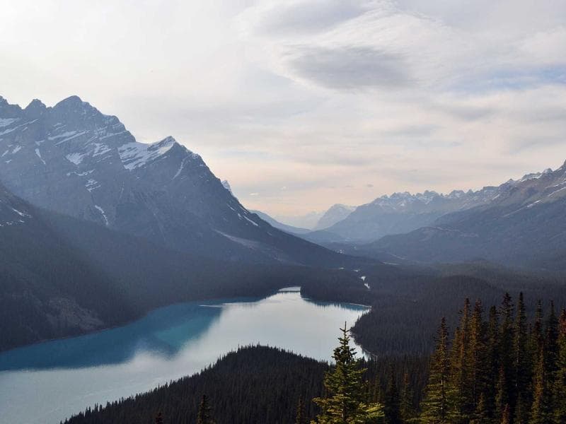 Modern Sectional Sofa